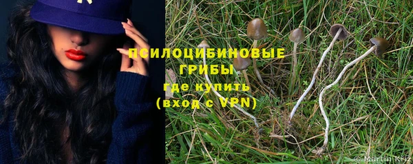 2c-b Бронницы